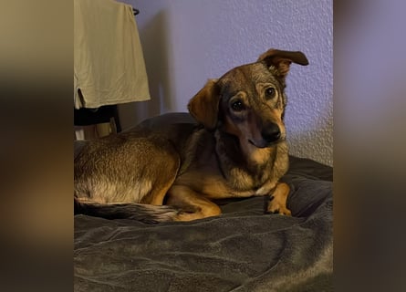 KINUSHI soll endlich entgültig ankommen