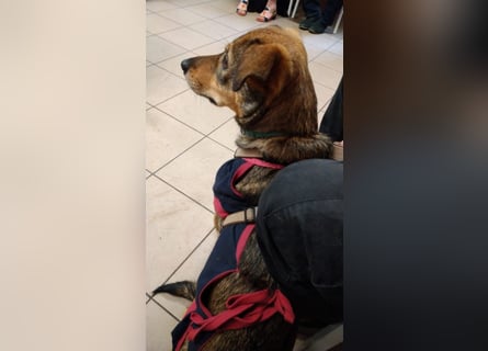 KINUSHI soll endlich entgültig ankommen