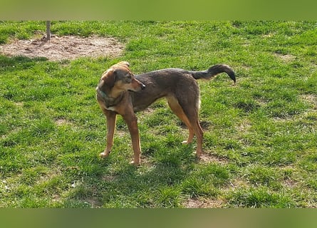 KINUSHI soll endlich entgültig ankommen