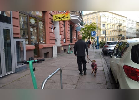 KINUSHI soll endlich entgültig ankommen