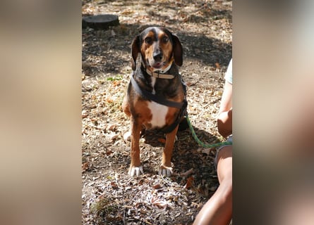Dory - wartet nun schon so lange auf ihre Familie!
