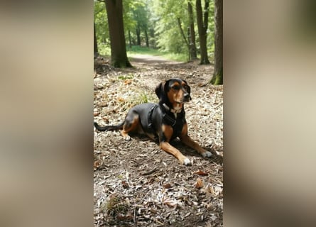 Dory - wartet nun schon so lange auf ihre Familie!