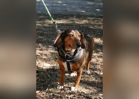 Dory - wartet nun schon so lange auf ihre Familie!