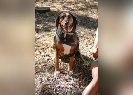 Dory - wartet nun schon so lange auf ihre Familie!