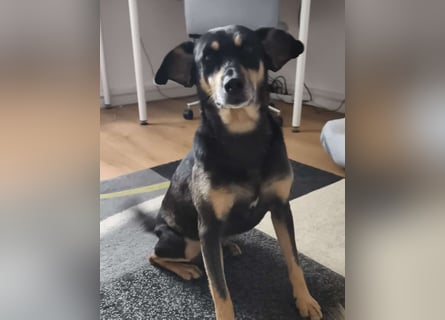 Kleiner Luca wartet in der Nähe von München