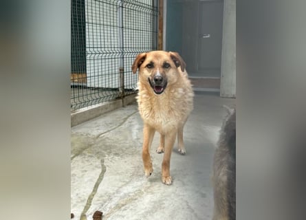 Gina wartet noch immer auf ihr Zuhause