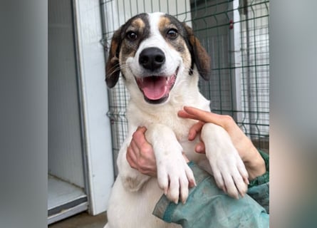 Jampa - lieber, freundlicher Bub!