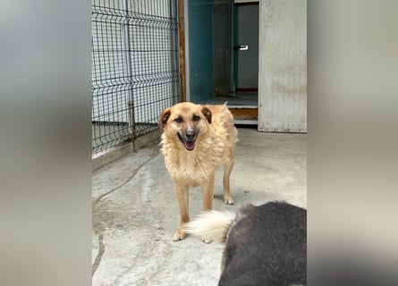 Gina wartet noch immer auf ihr Zuhause