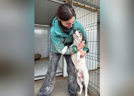 Jampa - lieber, freundlicher Bub!