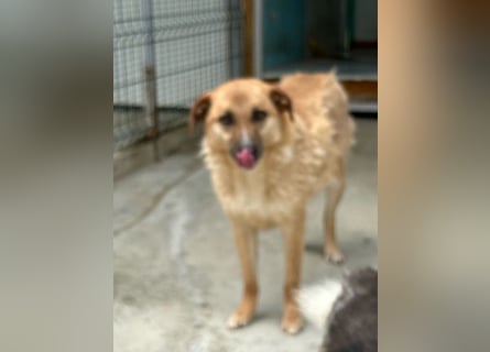 Gina wartet noch immer auf ihr Zuhause