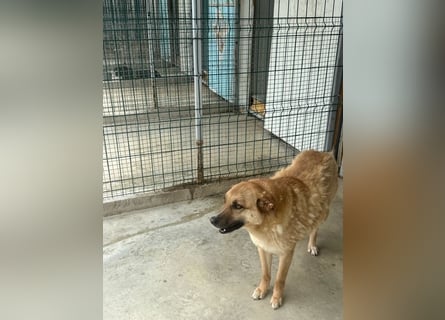Gina wartet noch immer auf ihr Zuhause