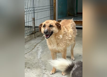 Gina wartet noch immer auf ihr Zuhause