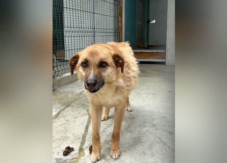 Gina wartet noch immer auf ihr Zuhause