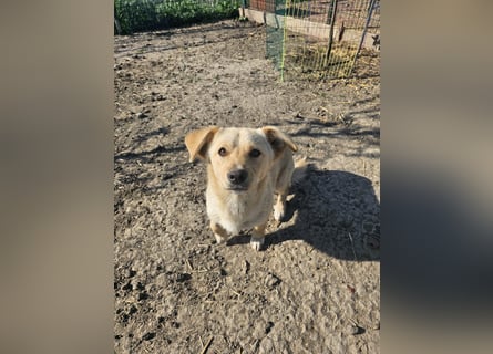 Gute-Laune Paket Maddie