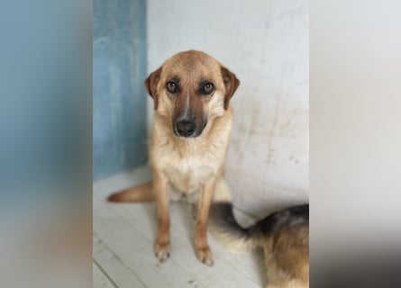 Gina wartet noch immer auf ihr Zuhause