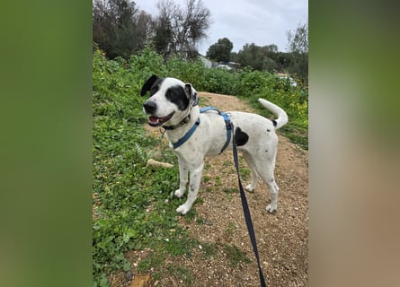 Diddo:  er hatte eine Familie