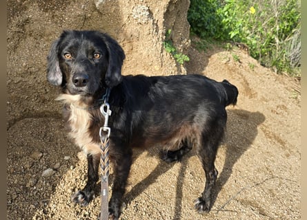 Immo: ein Schatz für die ganze Familie