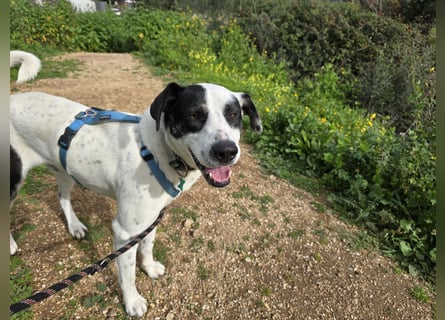 Diddo:  er hatte eine Familie