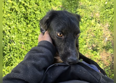 Immo: ein Schatz für die ganze Familie