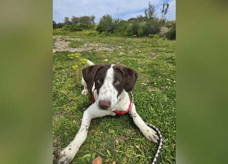 Befanino: ein Unikat zum Verlieben