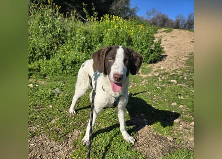 Befanino: kleiner Clown im Schafspelz