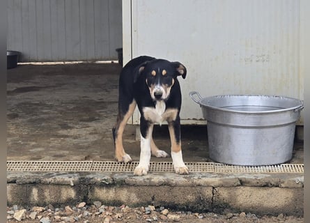 Betty: Hallo, hier bin ich!