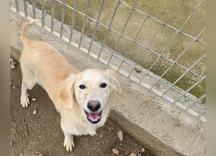 Cameron: kleiner Herzensbrecher