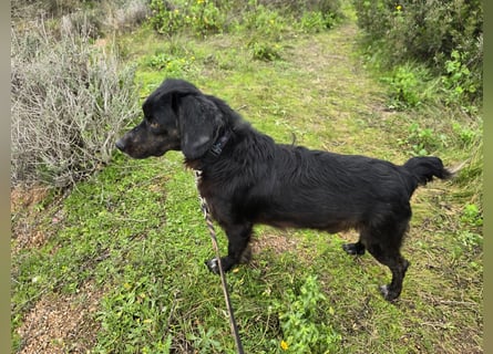 Immo: ein Schatz für die ganze Familie