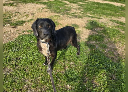 Immo: ein Schatz für die ganze Familie