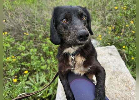 Immo: ein Schatz für die ganze Familie