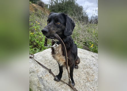 Immo: ein Schatz für die ganze Familie