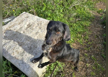 Immo: ein Schatz für die ganze Familie