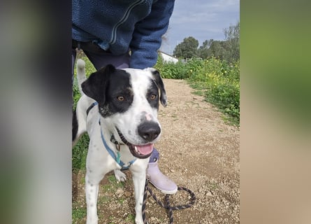 Diddo:  er hatte eine Familie