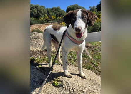 Befanino: ein Unikat zum Verlieben