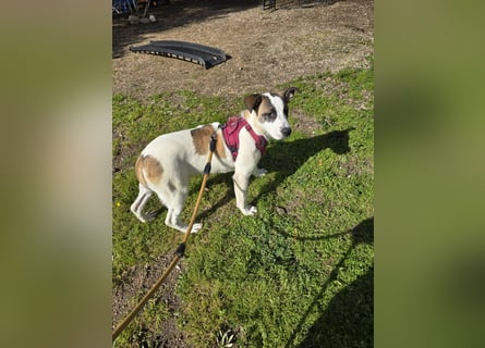 Nicolina: vom Parkplatz ins schöne Leben