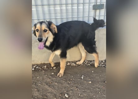 Bijou: sie leidet still