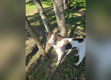 Befanino: ein Unikat zum Verlieben