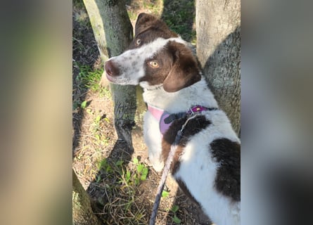 Befanino: ein Unikat zum Verlieben