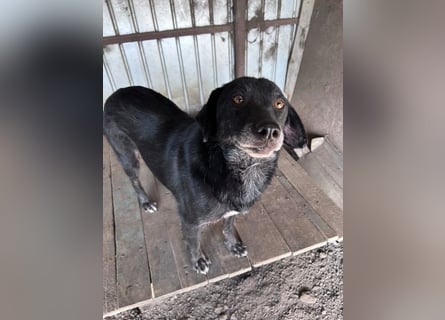 Nanook - ist ein lieber Schatz