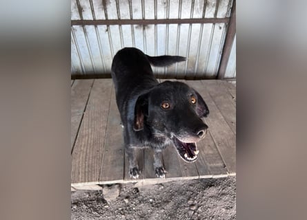 Nanook - ist ein lieber Schatz