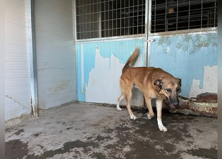 DANNY - sensibel & menschenbezogen