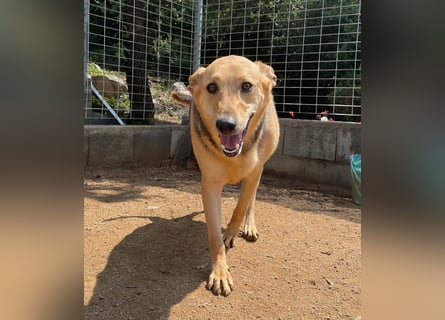 ROSALIE - unser toller Wonneproppen ROSALIE - unser toller Wonneproppen