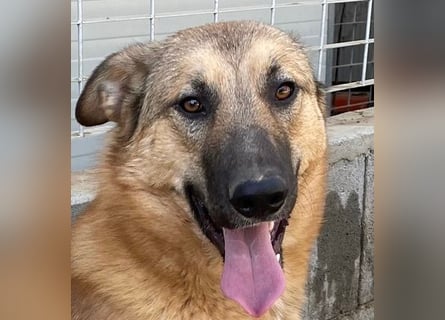 DANNY - sensibel & menschenbezogen