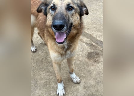 DANNY - sensibel & menschenbezogen