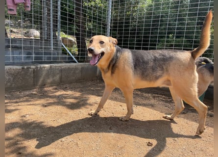 ROSALIE - unser toller Wonneproppen ROSALIE - unser toller Wonneproppen