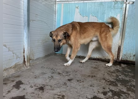 DANNY - sensibel & menschenbezogen