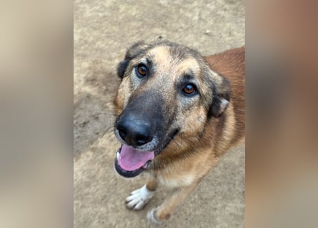 DANNY - sensibel & menschenbezogen