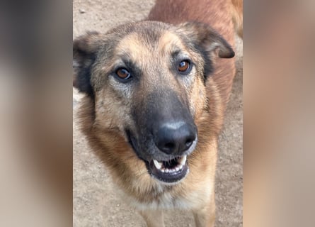 DANNY - sensibel & menschenbezogen