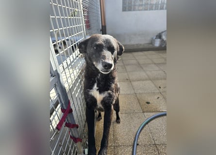 Ena: nur einmal Liebe spüren...