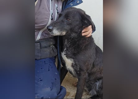 Ena: nur einmal Liebe spüren...